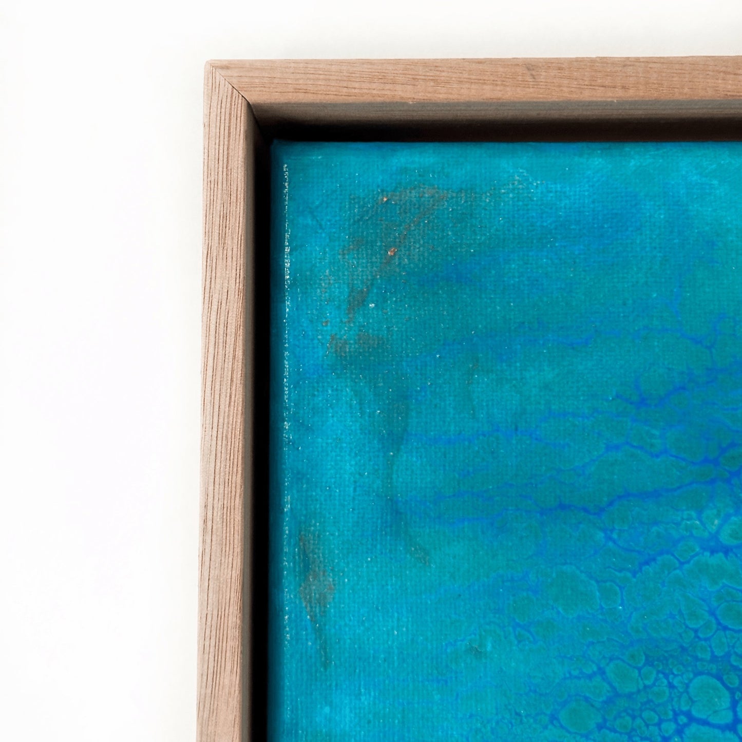 Seabed Serendipity